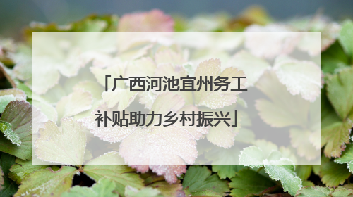广西河池宜州务工补贴助力乡村振兴