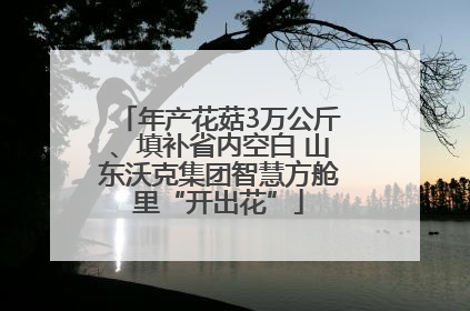 年产花菇3万公斤、填补省内空白 山东沃克集团智慧方舱里“开出花”