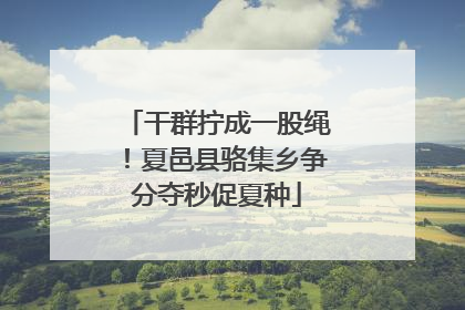 干群拧成一股绳！夏邑县骆集乡争分夺秒促夏种