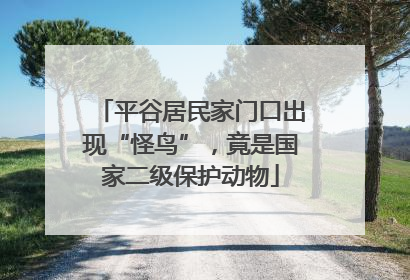 平谷居民家门口出现“怪鸟”，竟是国家二级保护动物