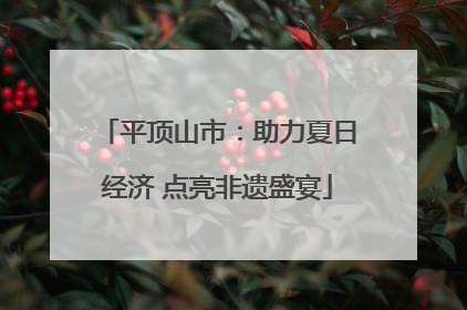 平顶山市：助力夏日经济 点亮非遗盛宴