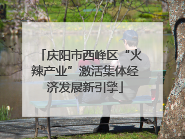 庆阳市西峰区“火辣产业”激活集体经济发展新引擎