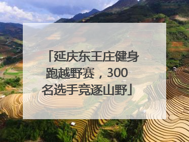 延庆东王庄健身跑越野赛，300名选手竞逐山野