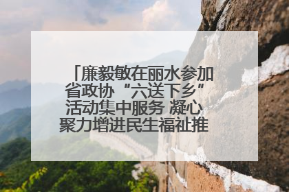 廉毅敏在丽水参加省政协“六送下乡”活动集中服务 凝心聚力增进民生福祉推进共同富裕