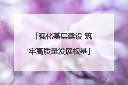 强化基层建设 筑牢高质量发展根基