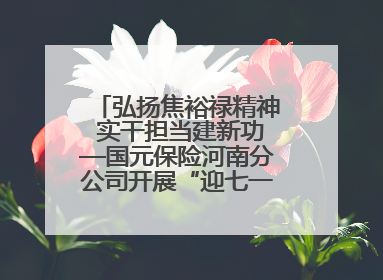 弘扬焦裕禄精神 实干担当建新功—国元保险河南分公司开展“迎七一”主题党日活动
