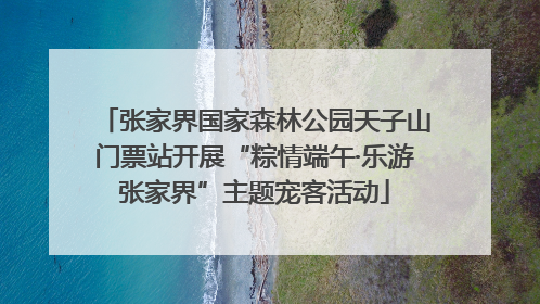 张家界国家森林公园天子山门票站开展“粽情端午·乐游张家界”主题宠客活动
