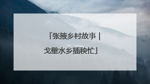 张掖乡村故事｜戈壁水乡插秧忙