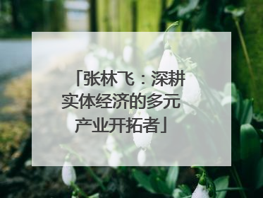 张林飞：深耕实体经济的多元产业开拓者