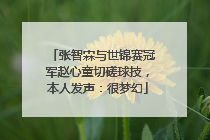 张智霖与世锦赛冠军赵心童切磋球技，本人发声：很梦幻