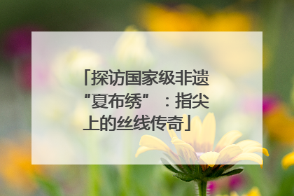 探访国家级非遗“夏布绣”：指尖上的丝线传奇