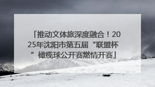 推动文体旅深度融合！2025年沈阳市第五届“联盟杯”橄榄球公开赛燃情开赛