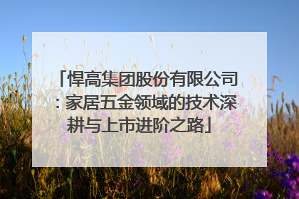 悍高集团股份有限公司：家居五金领域的技术深耕与上市进阶之路