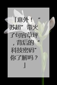 意外！“苏超”带火了句容草坪，背后的“科技密码”你了解吗？