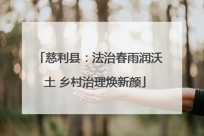 慈利县：法治春雨润沃土 乡村治理焕新颜