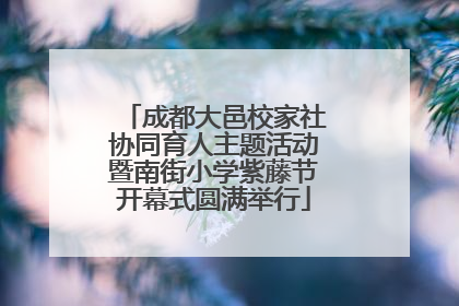 成都大邑校家社协同育人主题活动暨南街小学紫藤节开幕式圆满举行