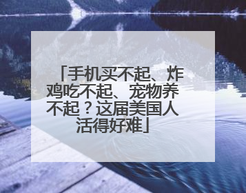 手机买不起、炸鸡吃不起、宠物养不起？这届美国人活得好难