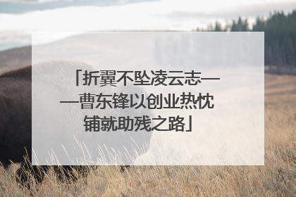 折翼不坠凌云志——曹东锋以创业热忱铺就助残之路