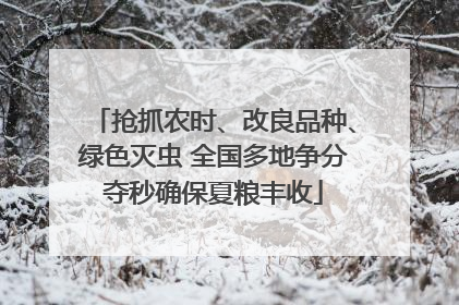 抢抓农时、改良品种、绿色灭虫 全国多地争分夺秒确保夏粮丰收