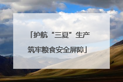 护航“三夏”生产 筑牢粮食安全屏障