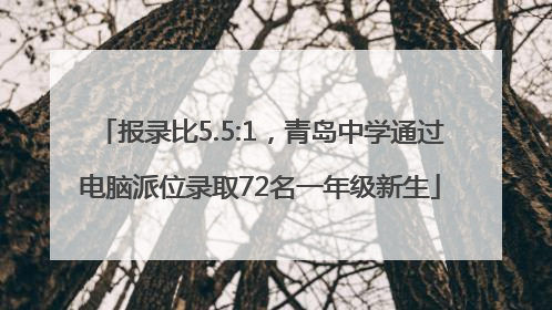 报录比5.5:1,青岛中学通过电脑派位录取72名一年级新生