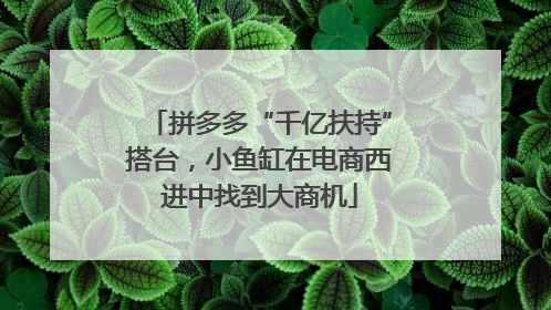 拼多多“千亿扶持”搭台，小鱼缸在电商西进中找到大商机