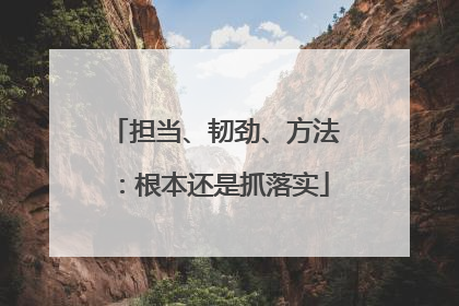 担当、韧劲、方法：根本还是抓落实