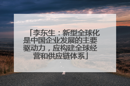 李东生：新型全球化是中国企业发展的主要驱动力，应构建全球经营和供应链体系