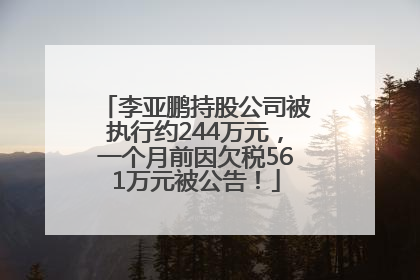 李亚鹏持股公司被执行约244万元，一个月前因欠税561万元被公告！