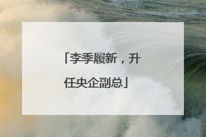 李季履新，升任央企副总