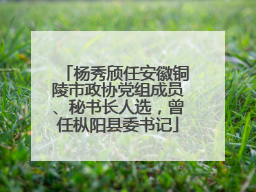 杨秀颀任安徽铜陵市政协党组成员、秘书长人选，曾任枞阳县委书记