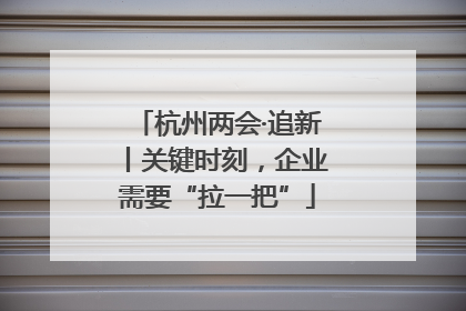 杭州两会·追新丨关键时刻，企业需要“拉一把”