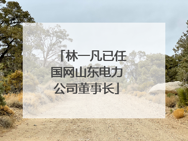 林一凡已任国网山东电力公司董事长