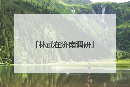 林武在济南调研