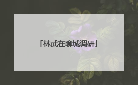 林武在聊城调研