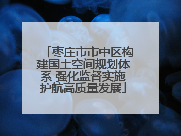 枣庄市市中区构建国土空间规划体系 强化监督实施护航高质量发展