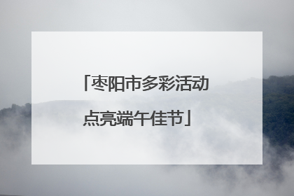 枣阳市多彩活动点亮端午佳节
