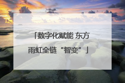数字化赋能 东方雨虹全链“智变”