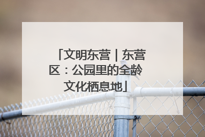 文明东营｜东营区：公园里的全龄文化栖息地