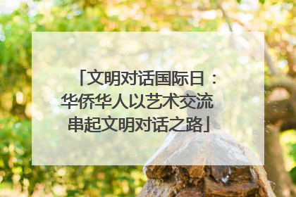 文明对话国际日：华侨华人以艺术交流串起文明对话之路