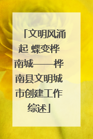 文明风涌起 蝶变桦南城——桦南县文明城市创建工作综述