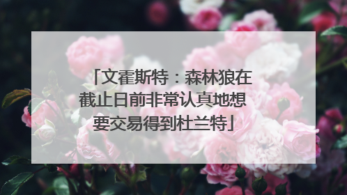 文霍斯特：森林狼在截止日前非常认真地想要交易得到杜兰特