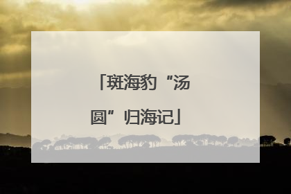 斑海豹“汤圆”归海记