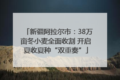 新疆阿拉尔市：38万亩冬小麦全面收割 开启夏收夏种“双重奏”
