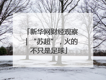 新华网财经观察｜“苏超”，火的不只是足球