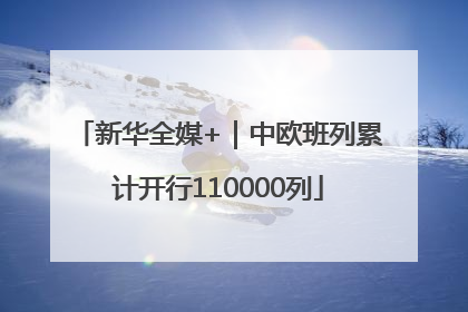 新华全媒+｜中欧班列累计开行110000列