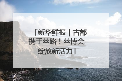 新华鲜报｜古都携手丝路！丝博会绽放新活力