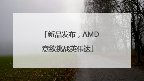 新品发布，AMD意欲挑战英伟达