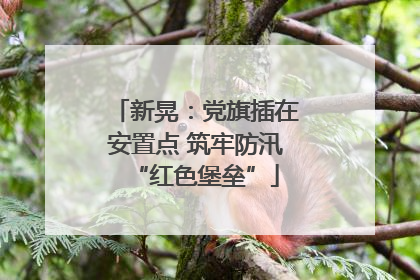 新晃：党旗插在安置点 筑牢防汛“红色堡垒”