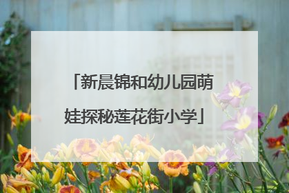 新晨锦和幼儿园萌娃探秘莲花街小学